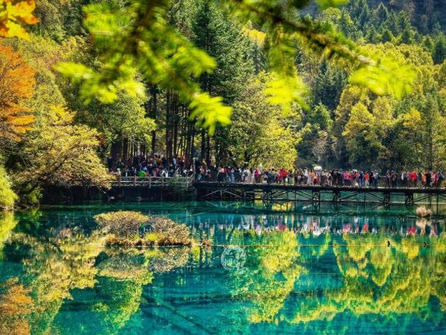 锦绣铺画卷 安逸绘新章——写在2025四川省文化和旅游发展大会开幕之际