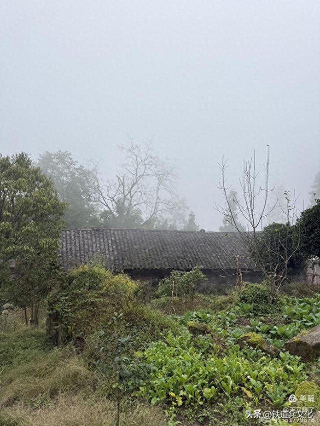 龚清||一缕云雾系乡愁