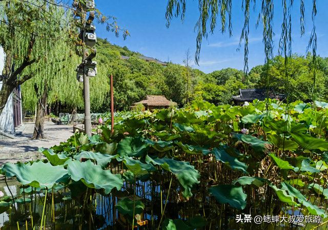 这个浙江“美人景点”着实抢眼，秋日中节目惊艳，可享受古越风情