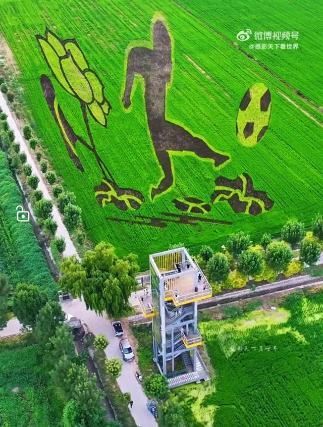 这是济南的“稻”梦空间，初秋刷爆朋友圈！