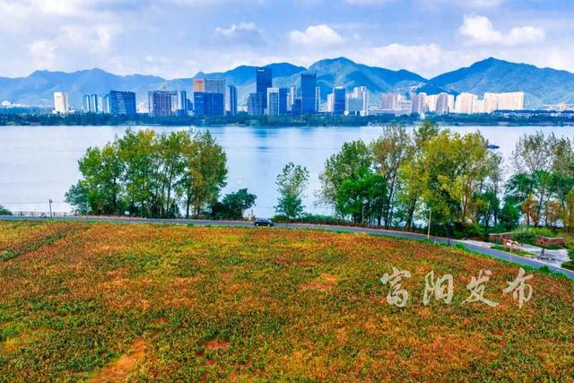 惊艳！富春江私藏了一片“燃烧的秋天”