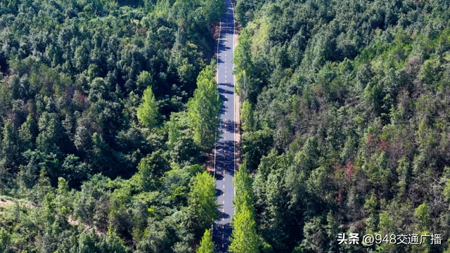 公路“金钥匙”打开大悟“双色”产业宝藏