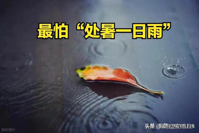今日“处暑”，老人说最怕“处暑一日雨”，处暑下雨啥预兆？