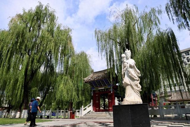 市县融媒看成县 | 成县：千年文脉融入城市公园 民生福祉触手可及