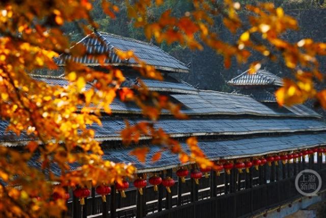 土家古枫寨 斑斓冬景美