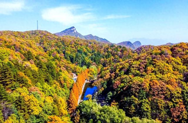 河南白云山的11月,才是秋色顶配!解锁90%游客不知道的神仙玩法