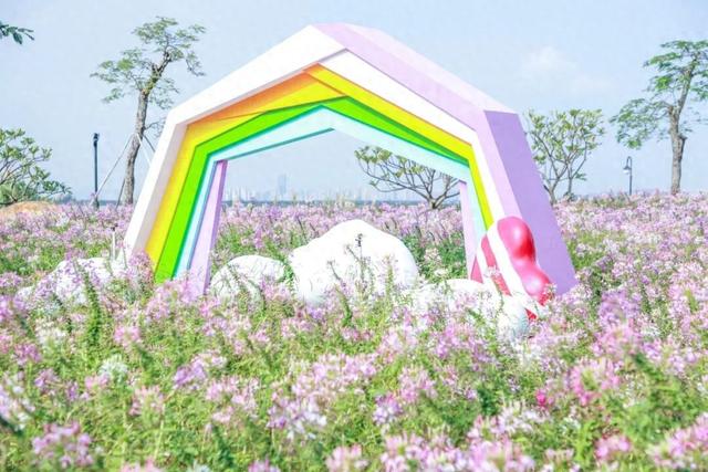 15000㎡花海！免费打卡！珠海人约起来！