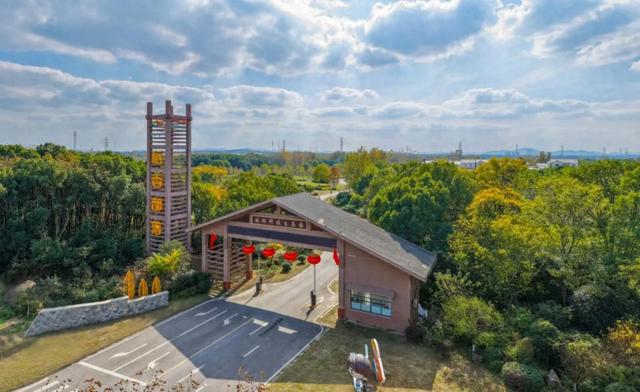 稻 花 香 里 看 雨 花