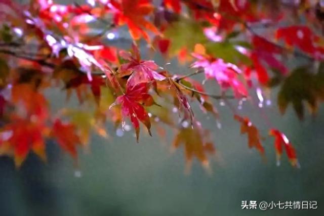 让你瞬间释怀的走心文案，建议永久收藏。