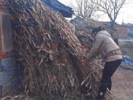 眷恋那温馨的烟火