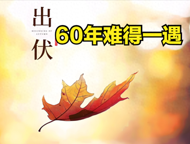 明日出伏！60年难得一遇，3大特点，出伏挨着处暑，有何预兆？