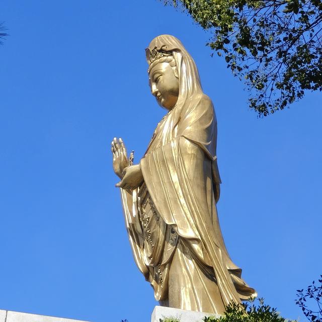 普陀归来