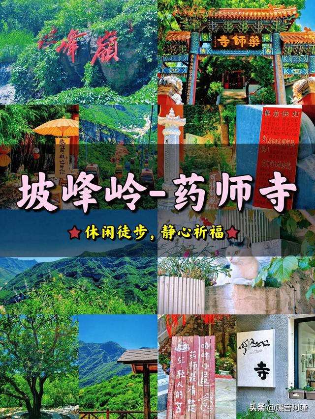 坡峰岭×药师寺：山林与禅意的完美周末