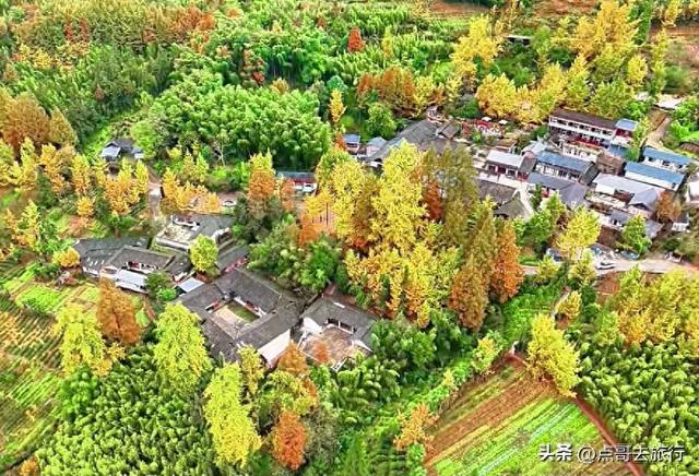 成都4大赏秋超美村庄，其中一个被称为成都小丹巴，都不要门票！