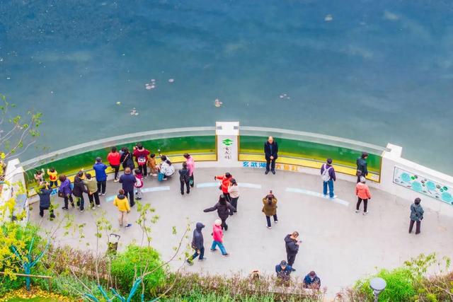 国家生态文明示范区系列报道丨于城市之心,写共生之诗