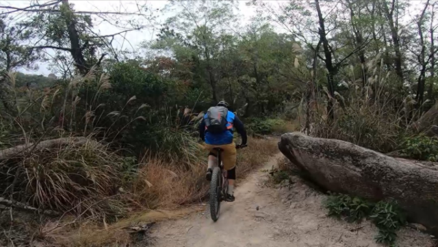 为了回家，西安3人上演“铁人三项”，8天8夜翻越秦岭118公里