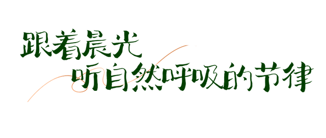 循着光的方向游市南，这三条旅游路线，真的不要太好逛！