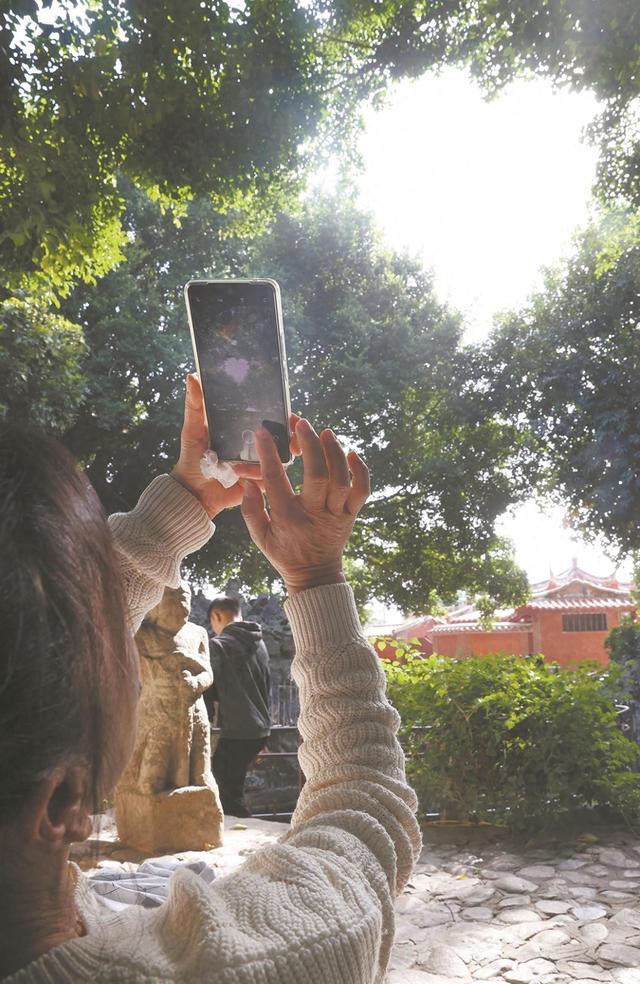 在泉州 连树木都这么有爱