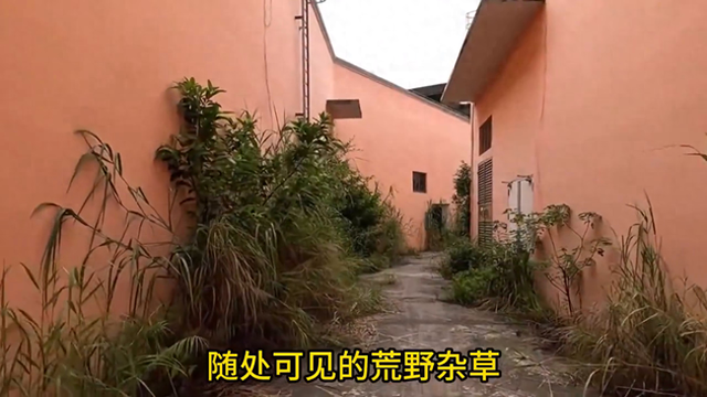 被称为佛山第一鬼城，150亿全打水漂，百亩土地之上是废墟