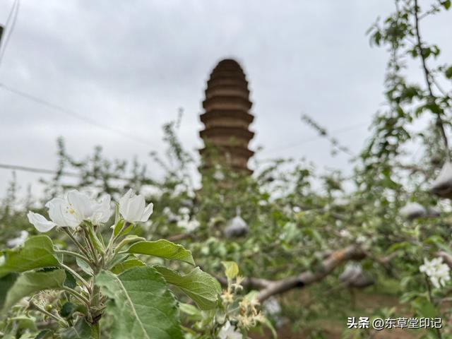 探秘洛川万凤塔：穿越千年的光影之旅
