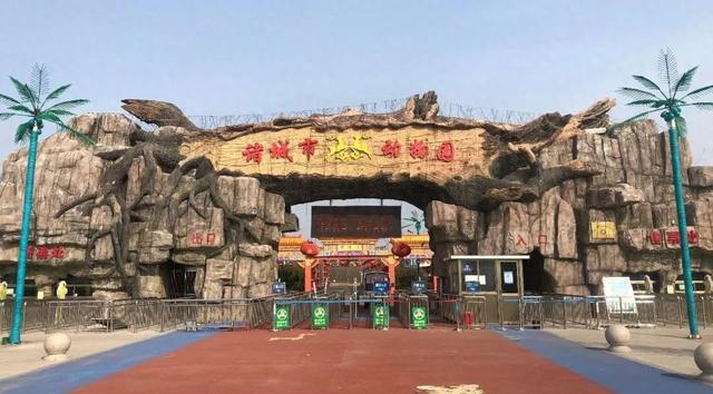 七夕活动：有情人终成眷属，情人节特惠票35元