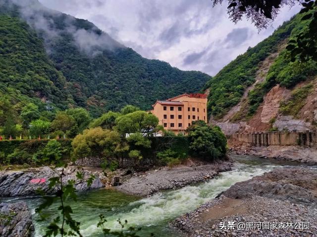 一夜入秋 | 一键查看你不曾见过的雨中黑河