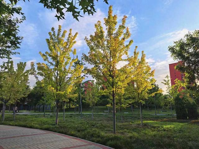 朝阳官庄公园里，隐藏着秋天版的“莫奈花园”