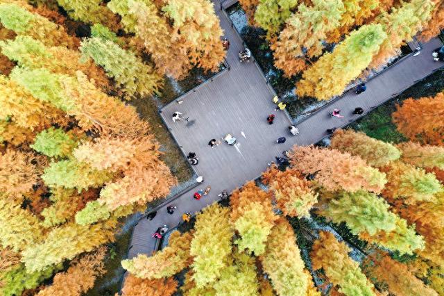 播雅湿地冬色如画