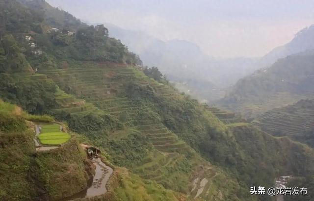 话说闽西丨望阙亭里说报恩