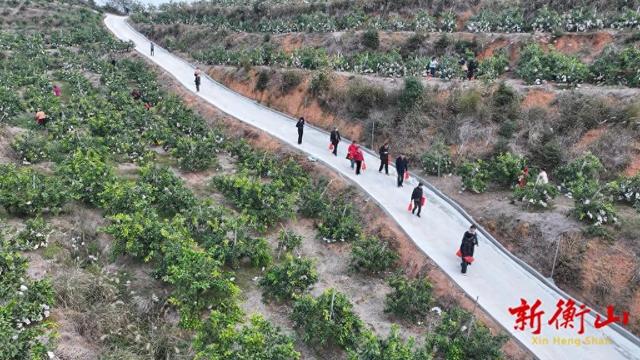 衡山：旅发大会红利持续释放水果基地成冬季游“新宠”