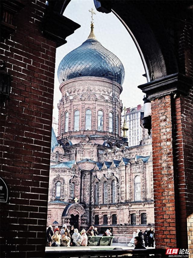 岁暖时刻丨来哈尔滨，一定要走一次中央大街