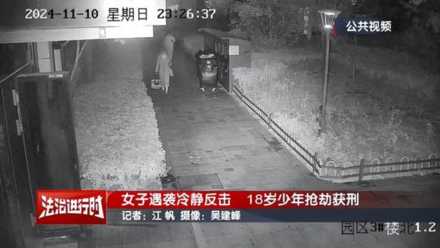 18岁男子入室抢劫未遂	，被女子一耳光扇跑