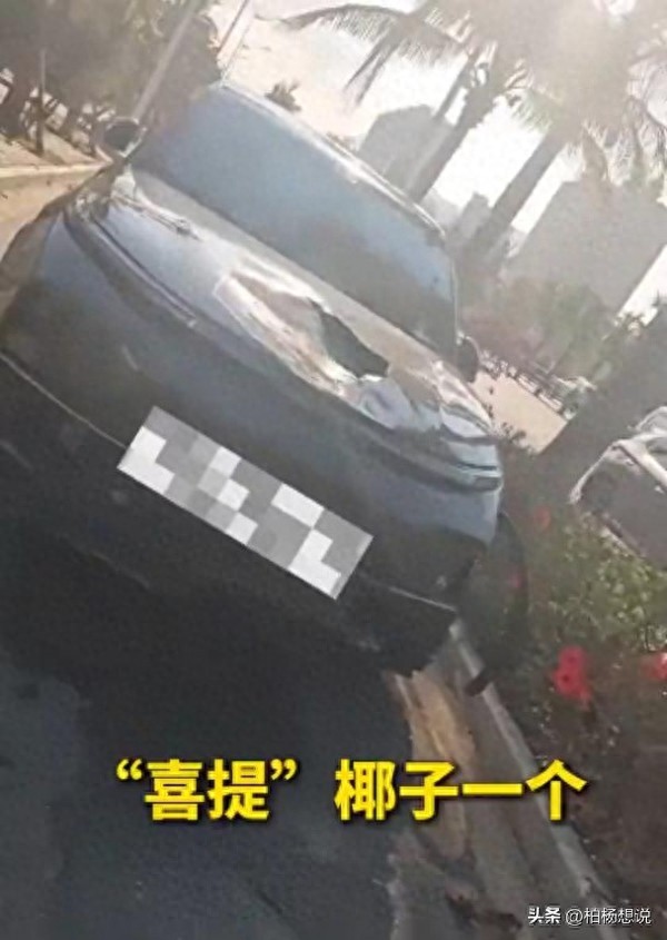 海南一小车违规停放,被掉落的椰子砸中,网友调侃“椰看不下去”