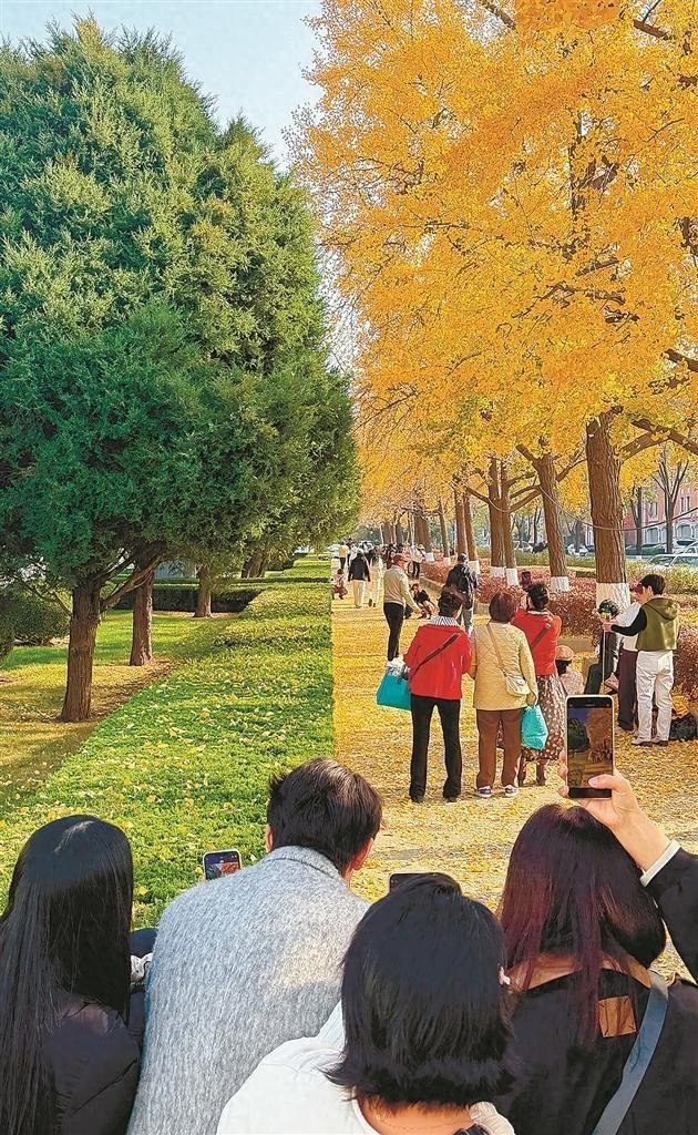 左眼盛夏 右眼深秋 夏秋平分秋色 温柔邂逅大连