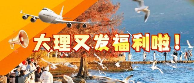 机票返现金、免高铁票！大理又发福利啦→