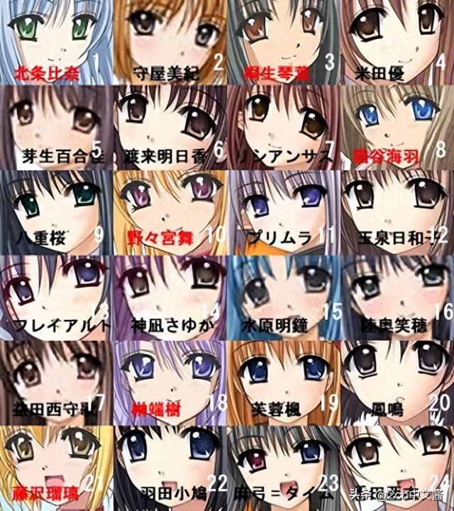 日本美女攻略游戏（日本网民吐槽日本的galgame女主角太多了）