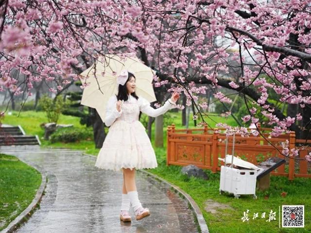 多处出现、武汉粉了！“没想到这么热闹”