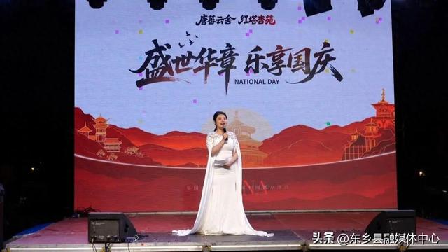歌舞飞扬庆华诞 音乐节点亮唐汪夜