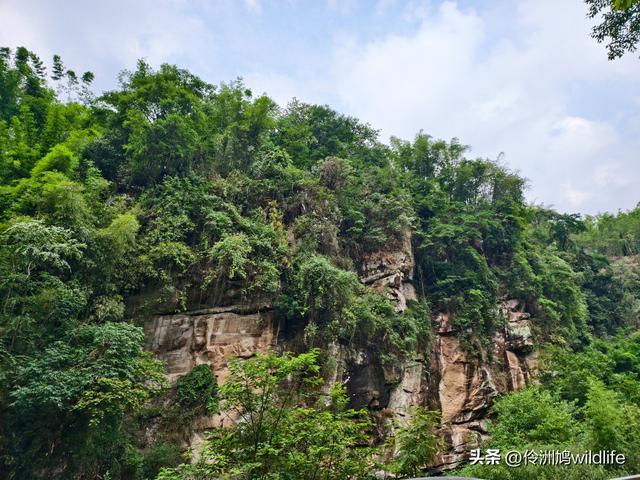 成都徒步（66）·邛崃篇⑥皮缝峡谷·皮缝古道
