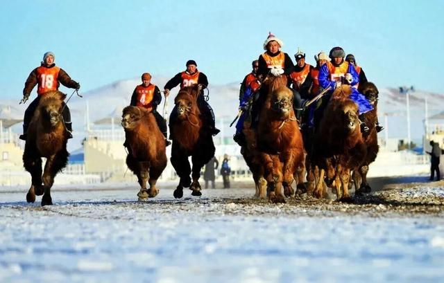 你的“英雄帖”已送达 达茂旗等你来“签到”