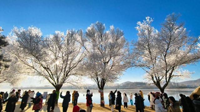 冬日童话：银树蓝天，人在雾凇岛！