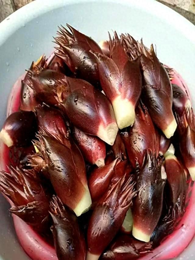 常见的蔬菜有哪些图片（中国10种比较少见的蔬菜）