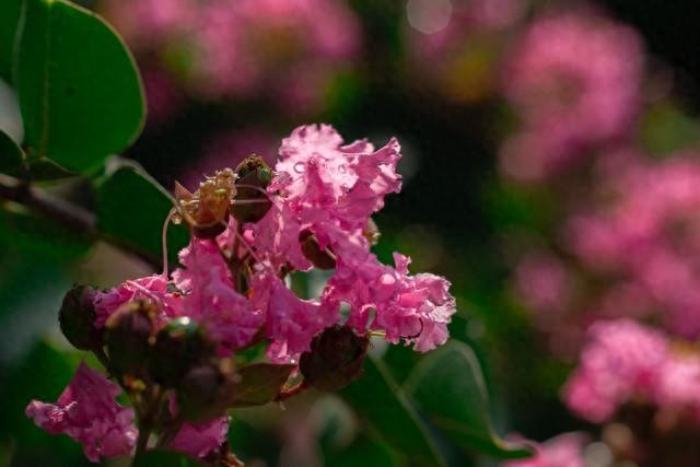 巨蟹座要乐醒了	，1月9日，星期五，你将会遇见你最大的1位贵人