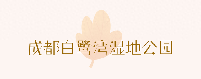 成都限定红！水杉最美季节上线，赶紧打卡