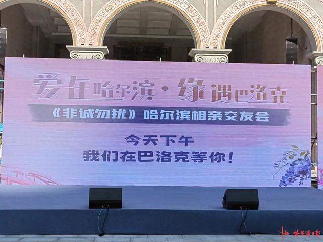 以特色活动激活文旅动能，相亲盛会与多元业态共助冰城文旅升温