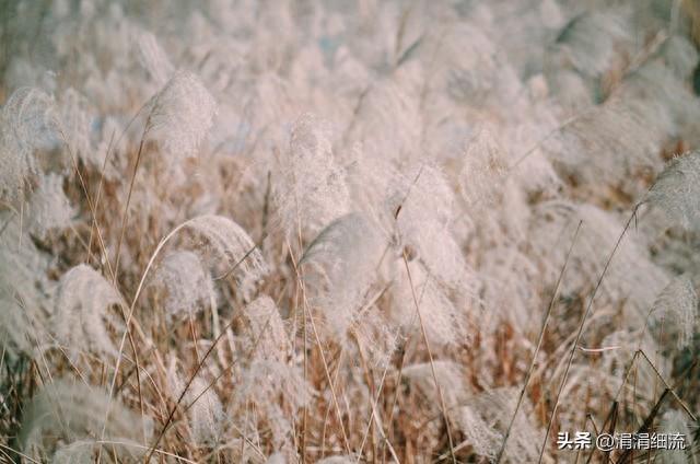 刺激女人荷尔蒙的方法，男人一看就会，不信你试试