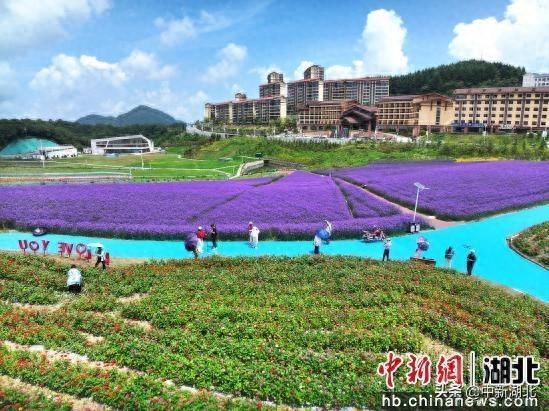湖北巴东：“凉资源”打造康养热经济