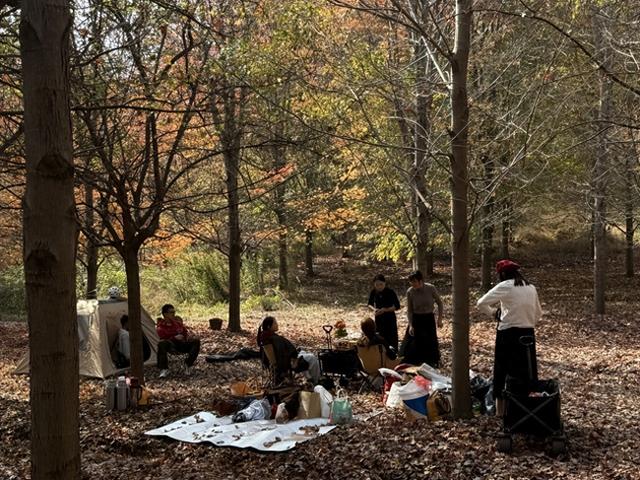 慢城2000亩红枫引客来