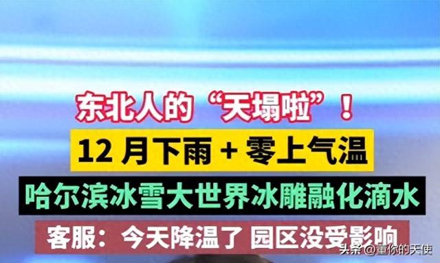 今年的哈尔滨，为啥格外的“热”？