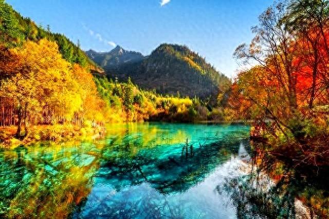 老人快离世时，往往有如下5个征兆，好好守在老人身边，不留遗憾